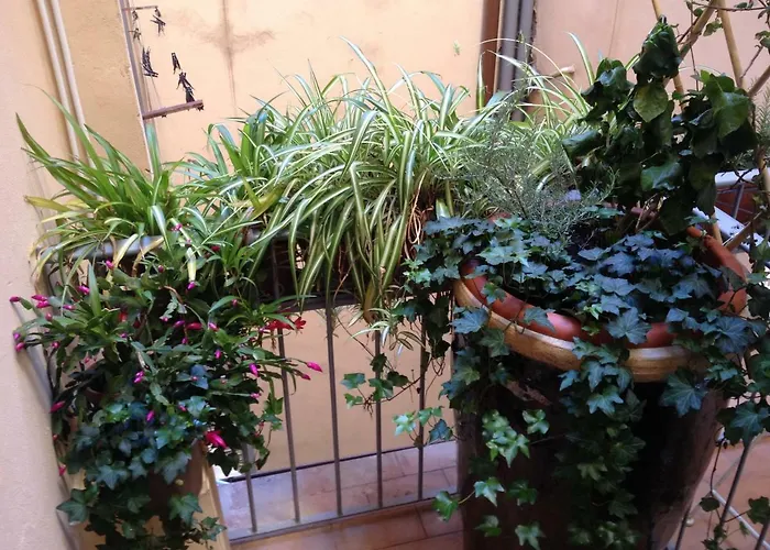 Oasis In The Heart Of Florence